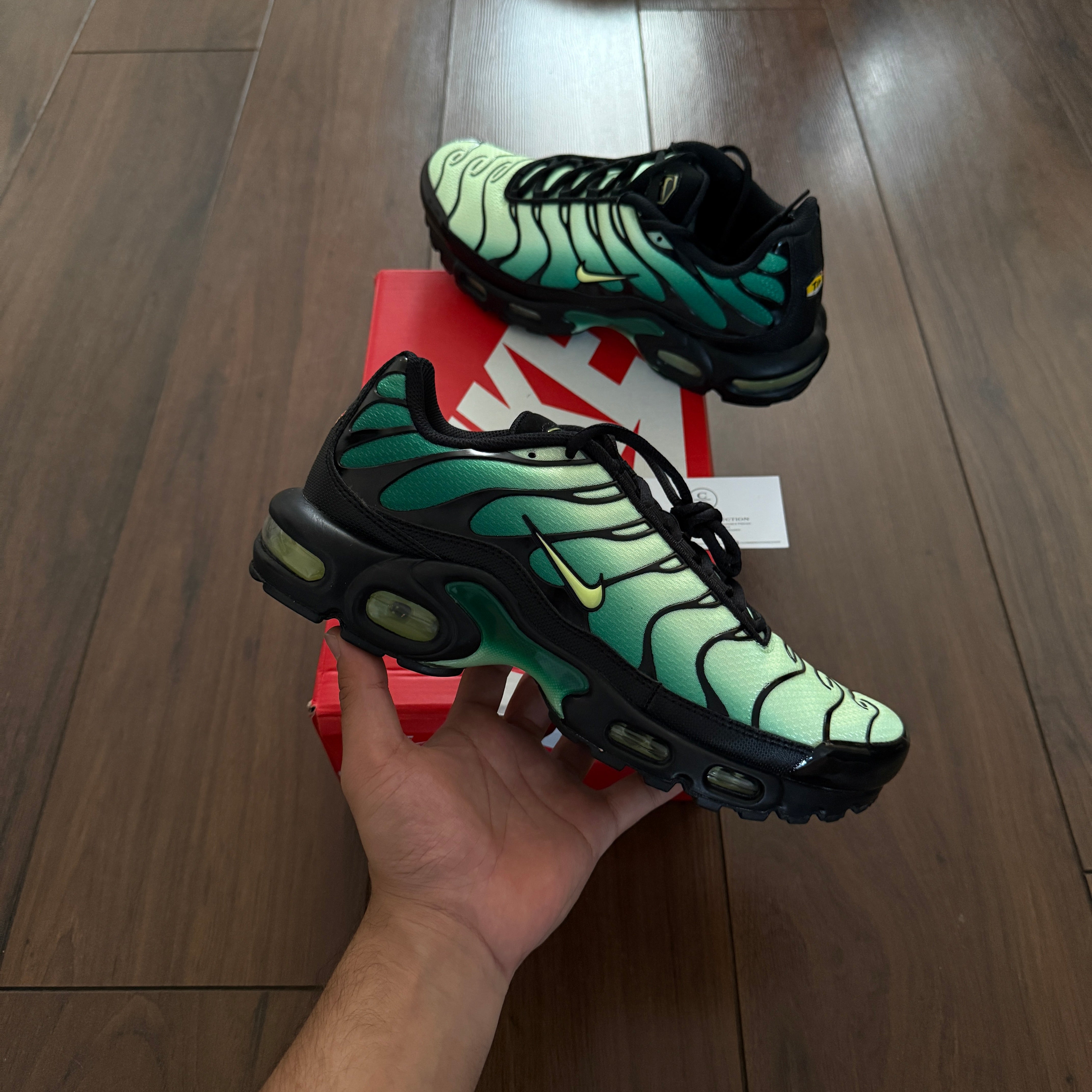 Nike TN Air Max Plus - Vapour Green