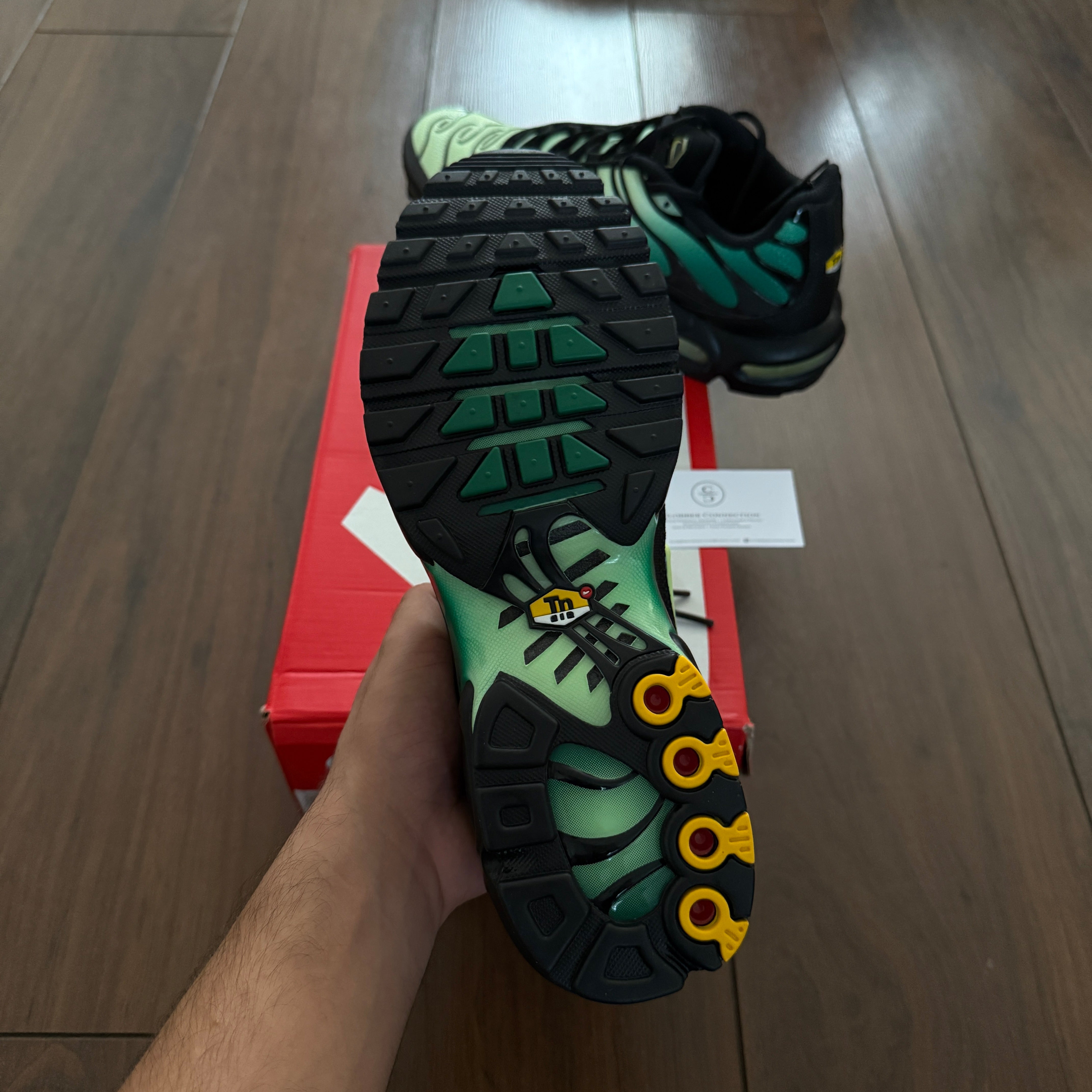 Nike TN Air Max Plus - Vapour Green