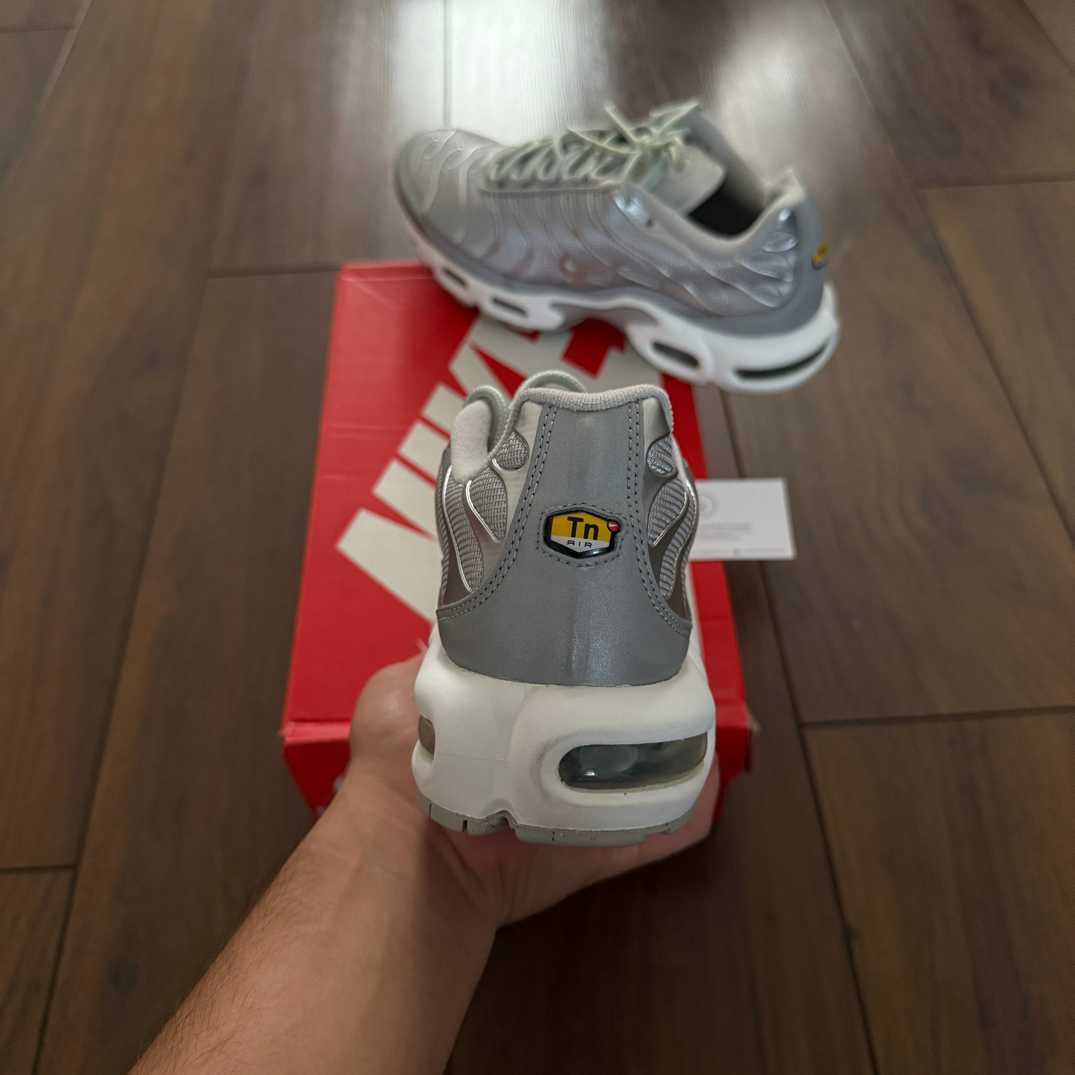 Nike TN Air Max Plus - Metallic Silver